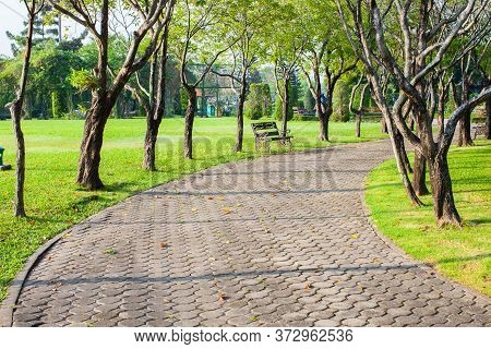 Empthy Running Lanes Of Road In Park Between Tree At Sunset Timing Location At Bangkok Thailand