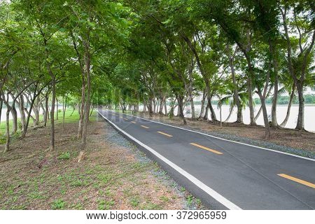 Empthy Running Lanes Of Road In Park Between Tree At Sunset Timing Location At Bangkok Thailand