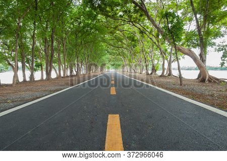 Empthy Running Lanes Of Road In Park Between Tree At Sunset Timing Location At Bangkok Thailand