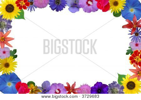 Heldere kleuren bloem Collage wit centrum