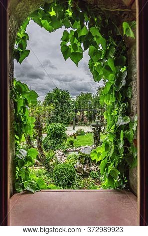 Garden View Through A Stone Window Covered With Ivy.