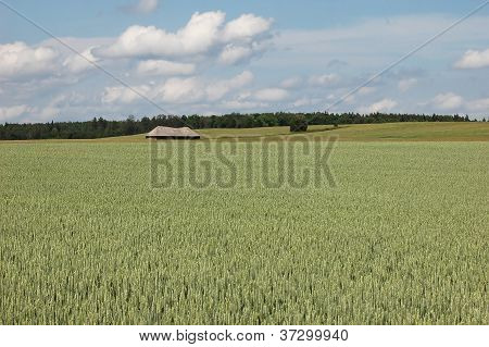 Pole, domek i utwór brud koryta gruntów rolnych