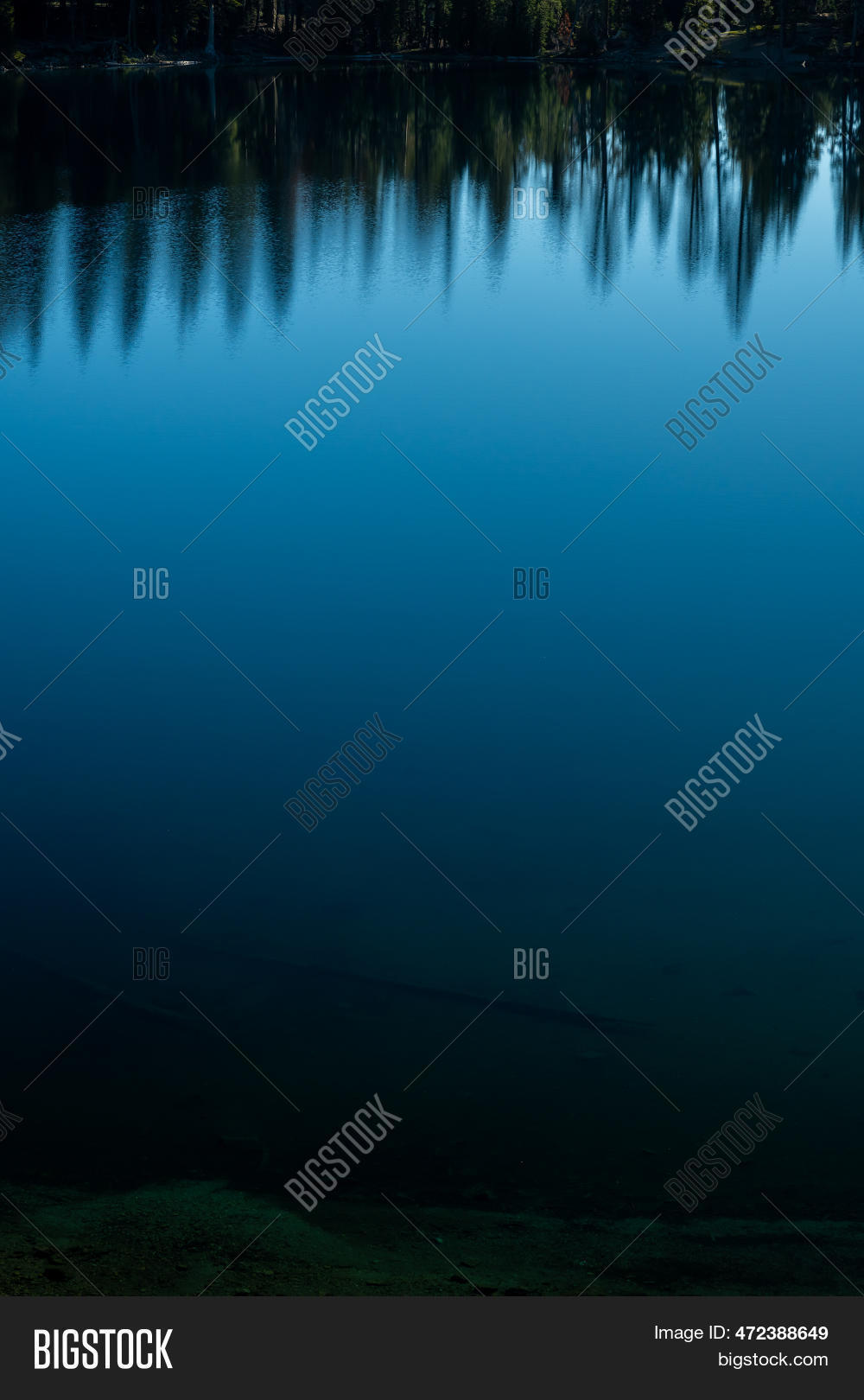 Reflection Edges Pine Image & Photo (Free Trial) | Bigstock