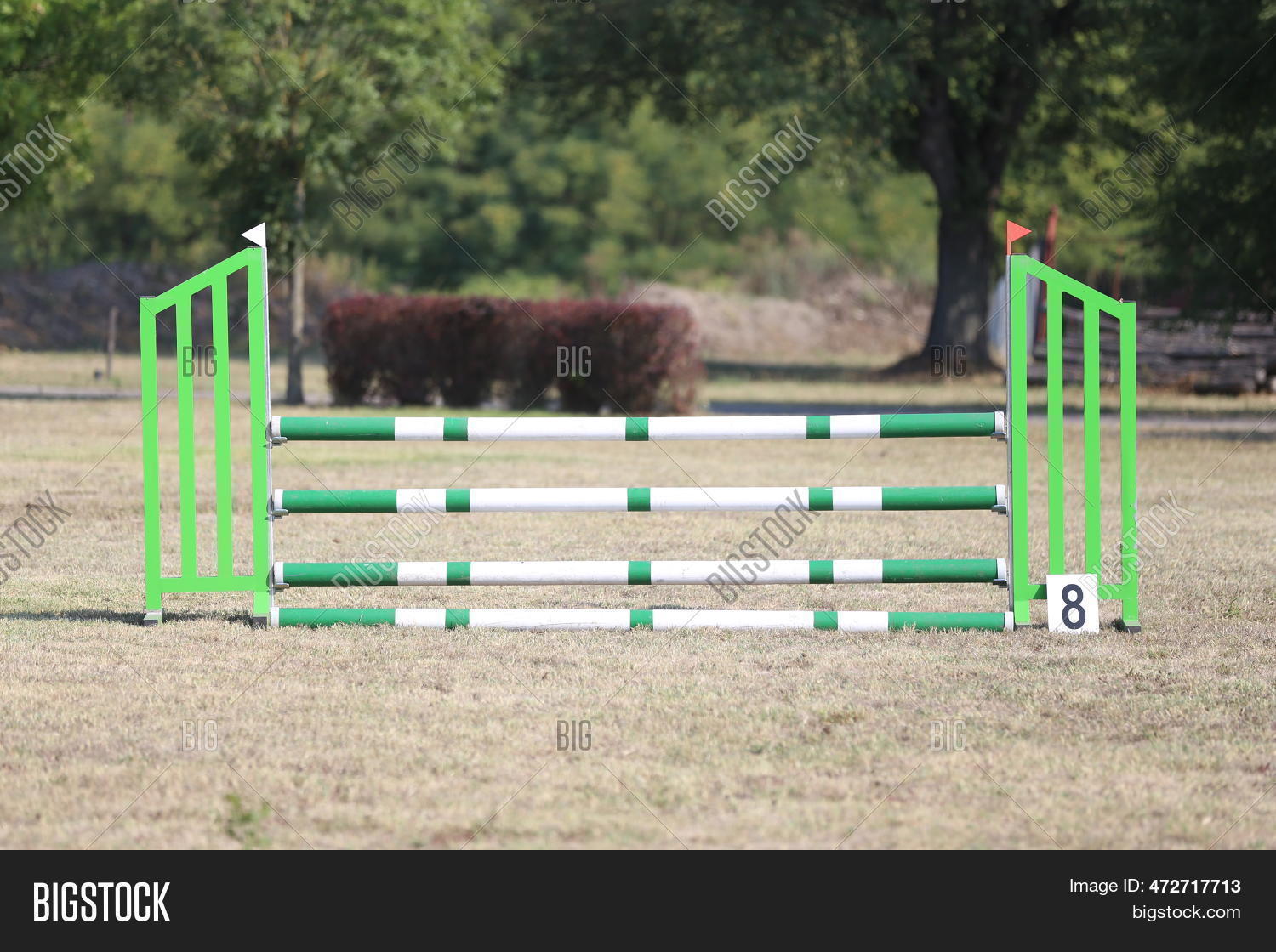 Show Jumping Poles Image & Photo (Free Trial) | Bigstock