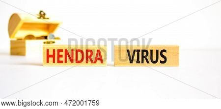 Hendra Virus Symbol. Concept Words Hendra Virus On Wooden Block. Beautiful White Table White Backgro