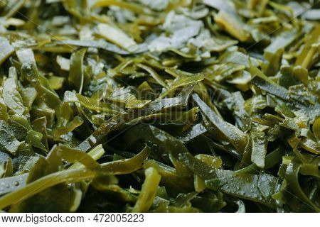 Fresh Laminaria (kelp) Seaweed As Background, Closeup