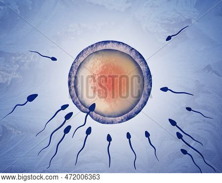 Cryopreservation Of Genetic Material. Sperm Cells And Ovum On Blue Background, Frost Effect