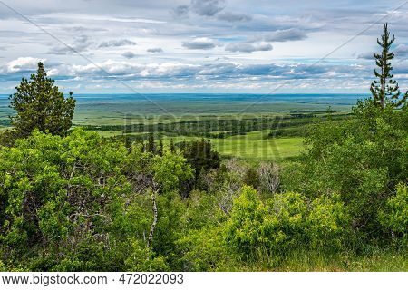 The View From Lookout Point In Cypress Hills Interprovincial Park, Saskatchewan