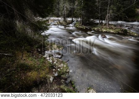 Spring Flood In The Forest
