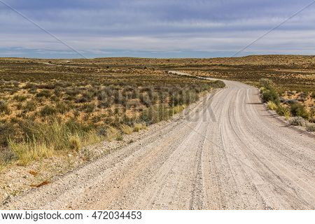 Safari Gravel Road In Scrubland Scenery In Kgalagadi Transfrontier Park, South Africa