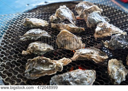 Grilled Fresh Oyster In Taiwan, Famous Street Food.