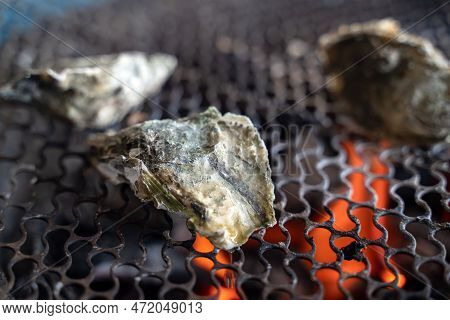 Grilled Fresh Oyster In Taiwan, Famous Street Food.