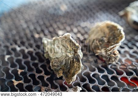 Grilled Fresh Oyster In Taiwan, Famous Street Food.
