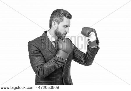 Boxer. Successful Ceo Boxer. Relentless Struggle And Success. Confident Man