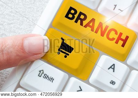 Text Showing Inspiration Branch. Business Concept A Part Of A Tree Which Grows Out From The Trunk Or