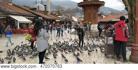 Sarajevo, Bosnia And Herzegovina, March 8, 2020, People Walk The Central Streets Of Sarajevo Feeding