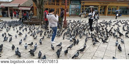 Sarajevo, Bosnia And Herzegovina, March 8, 2020, People Walk The Central Streets Of Sarajevo Feeding