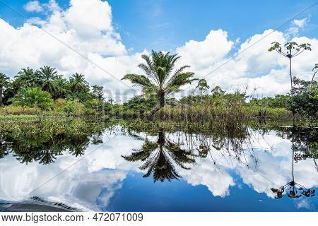 Canoe Tour On The Pantanal Marimbus, Waters Of Many Rivers And Abundant Vegetation, In Andarai, Bahi