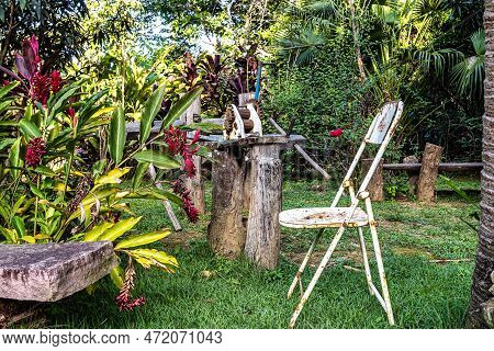 Restaurant At The Pantanal Marimbus, Waters Of Many Rivers And Abundant Vegetation, In Andarai, Bahi