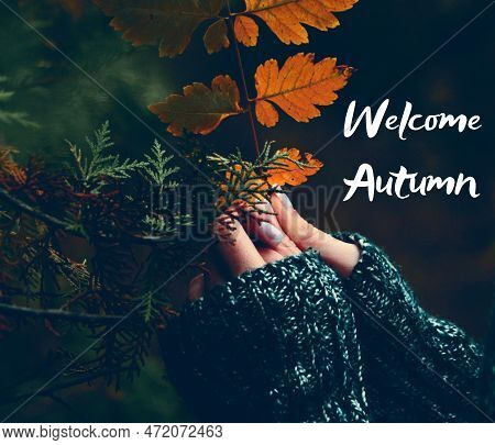As The Leaves Begin To Change And The Air Turns Crisp, We Say 