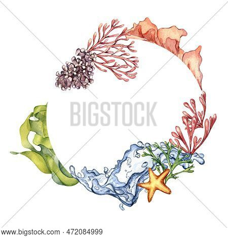 Frame Of Colorful Sea Plants And Water Splash Watercolor Illustration Isolated On White.