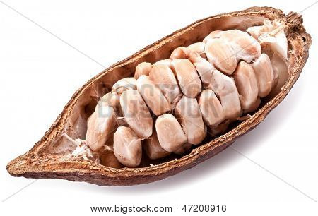 เปิดฝักโกโก้บนพื้นหลังสีขาว