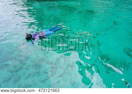 Girl In Snorkeling Mask Swims Among The Fish In Koh Phi Phi Island Thailand, Pileh Lagoon
