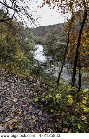 River Afon Mawddach In Coed Y Brenin Forest Park In Autumn, Fall, Portrait, Wide Angle.