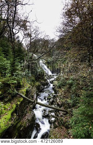 Pistyll Y Cain Waterfall In Coed Y Brenin Forest Park In Autumn, Fall, Portrait.