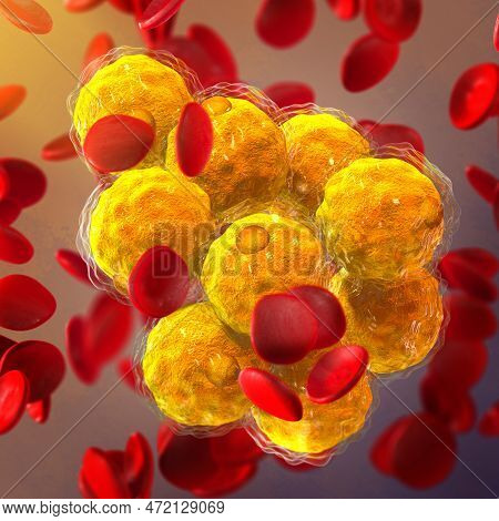 Medical Background, Cholesterol Organic Compound, Natural Polycyclic Lipophilic Alcohol, 3d Renderin
