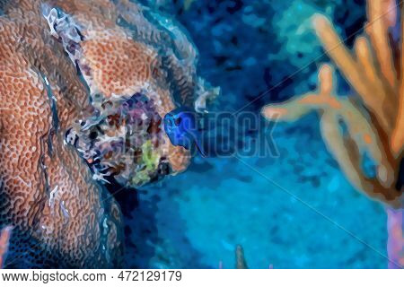 Digitally Created Watercolor Painting Of Blue Chromis Damelfish Chromis Cyanea Swimming Over The Cor