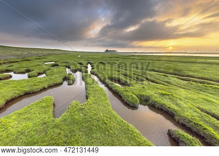 Erosion Holes In Grassland Of Tidal Marsh Of Dollard At The Punt Van Reide In The Waddensea Area On 