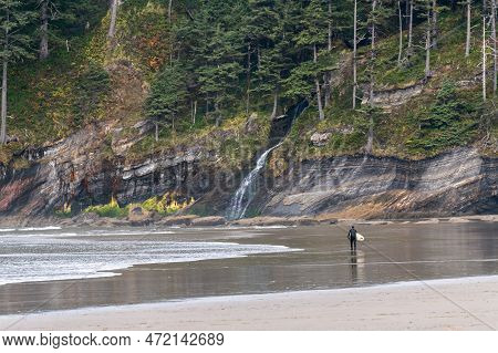A Surfer Enters The Water With His Board And A Waterfall On The Background, At Oswald West State Par