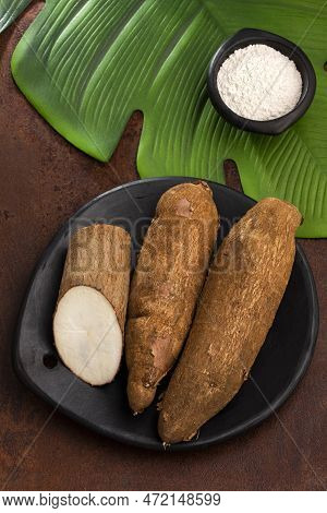 Organic Manihot Esculenta Starch In Bowl - Yuca (mandioca)