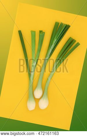 Spring Onions Healthy Salad Organic Fresh Food, High In Vitamins, Minerals, Antioxidants, Dietary Fi
