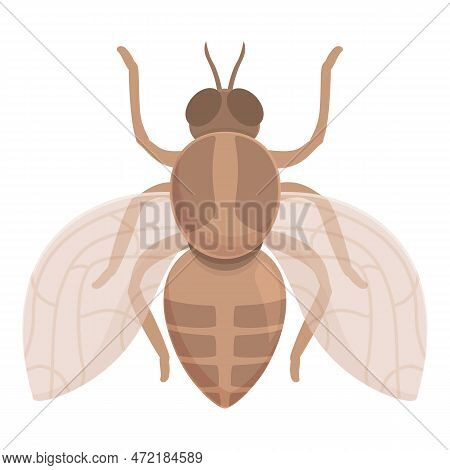 Animal Tsetse Fly Icon Cartoon Vector. Africa Insect. Nature Wings