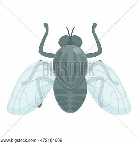 Tsetse Fly Mosquito Icon Cartoon Vector. Africa Insect. Nature Wings