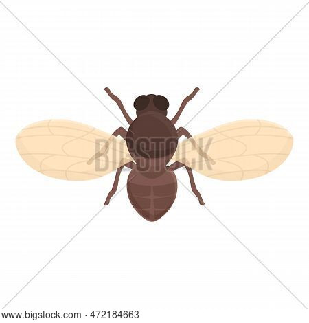 House Tsetse Fly Icon Cartoon Vector. Africa Insect. Health Animal