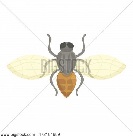 Nature Tsetse Fly Icon Cartoon Vector. Africa Insect. Drop Ancient