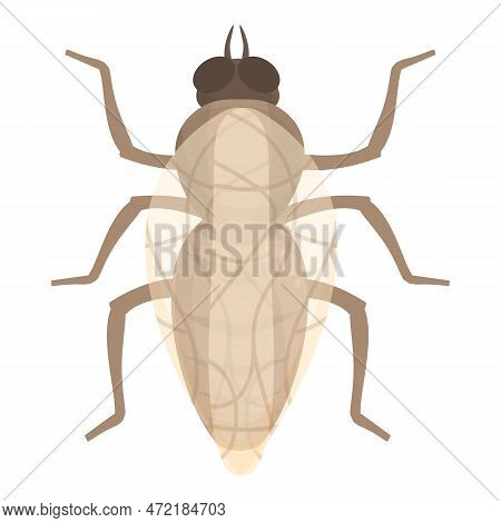 Tsetse Fly Wings Icon Cartoon Vector. Africa Insect. Ancient Nature