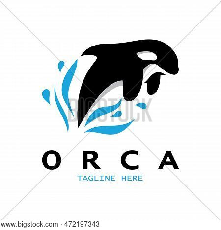 Simple Black Orca Whale Animal Illustration Logo Creative Design, Killer Whale, Underwater Animal. L