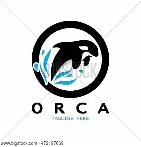 Simple Black Orca Whale Animal Illustration Logo Creative Design, Killer Whale, Underwater Animal. L
