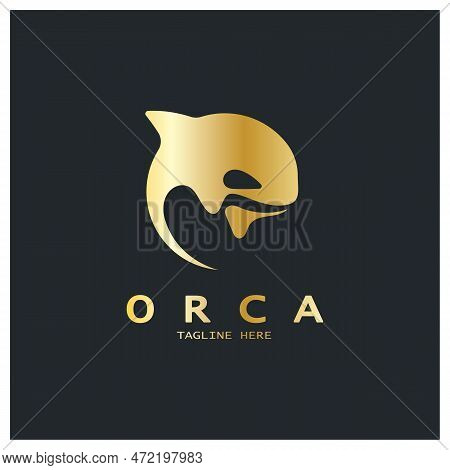Simple Black Orca Whale Animal Illustration Logo Creative Design, Killer Whale, Underwater Animal. L