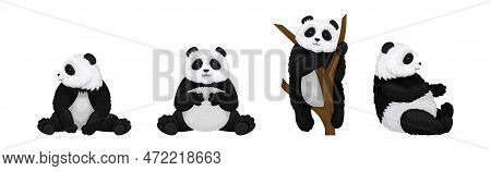 Black White Giant Vector & Photo (Free Trial) | Bigstock