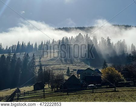 Beautiful View Of The Forest Through The Wooden Fence