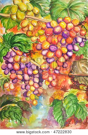 Acquerello di frutta