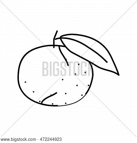 Mandarin Orange Line Icon Vector. Mandarin Orange Sign. Isolated Contour Symbol Black Illustration