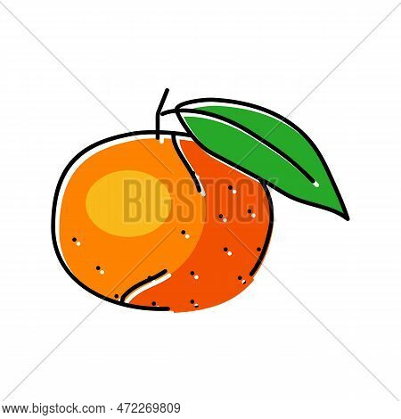 Mandarin Orange Color Icon Vector. Mandarin Orange Sign. Isolated Symbol Illustration
