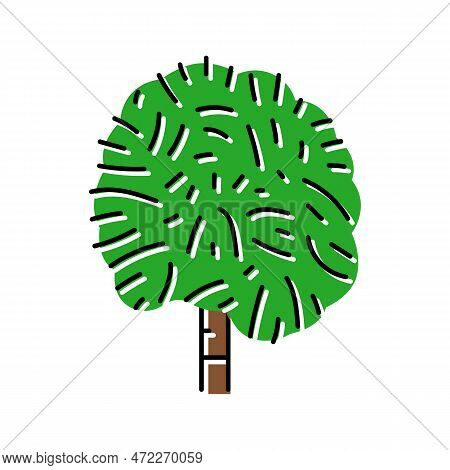 Cabbage Palm Tree Color Icon Vector. Cabbage Palm Tree Sign. Isolated Symbol Illustration