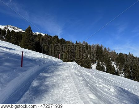 Excellently Arranged And Cleaned Winter Trails For Walking, Hiking, Sports And Recreation In The Are